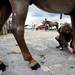 Alexa Newman, 10, applies hoof polish to his horse Pepper during the Washtenaw County 4-H Youth Show on Sunday, July 28. Daniel Brenner I AnnArbor.com